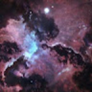 Meet your Posher, Eva